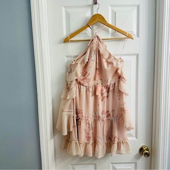 Two Sisters Dress Mini Pink Ruffle Floral Dainty Coquette Long Sleeve Small - Picture 4 of 7